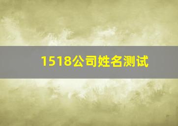 1518公司姓名测试