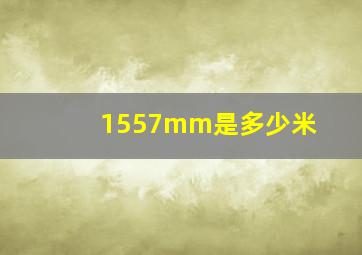 1557mm是多少米