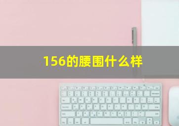 156的腰围什么样