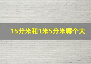 15分米和1米5分米哪个大