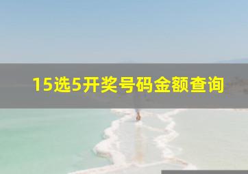 15选5开奖号码金额查询