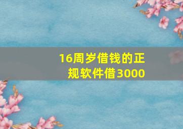 16周岁借钱的正规软件借3000