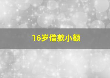 16岁借款小额