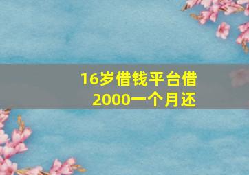 16岁借钱平台借2000一个月还