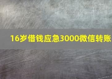 16岁借钱应急3000微信转账