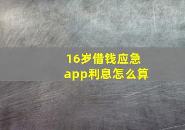 16岁借钱应急app利息怎么算