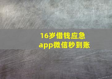 16岁借钱应急app微信秒到账