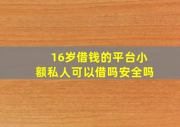 16岁借钱的平台小额私人可以借吗安全吗