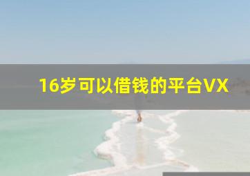 16岁可以借钱的平台VX