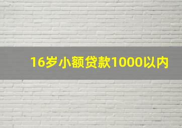 16岁小额贷款1000以内