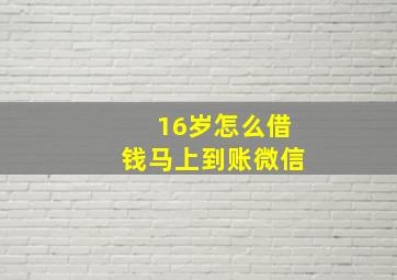 16岁怎么借钱马上到账微信