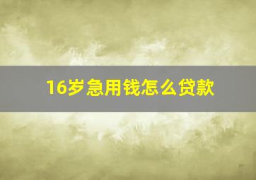 16岁急用钱怎么贷款