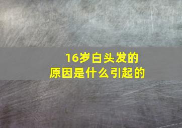 16岁白头发的原因是什么引起的