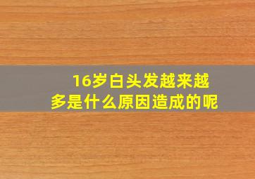 16岁白头发越来越多是什么原因造成的呢