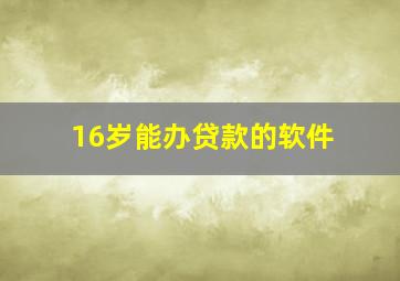 16岁能办贷款的软件