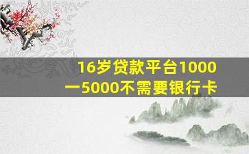 16岁贷款平台1000一5000不需要银行卡