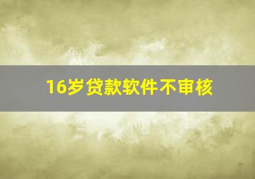 16岁贷款软件不审核