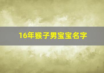 16年猴子男宝宝名字