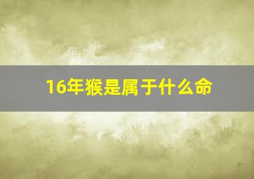 16年猴是属于什么命