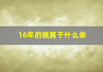 16年的猴属于什么命