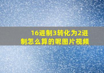 16进制3转化为2进制怎么算的呢图片视频