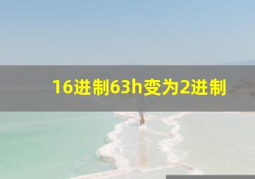 16进制63h变为2进制