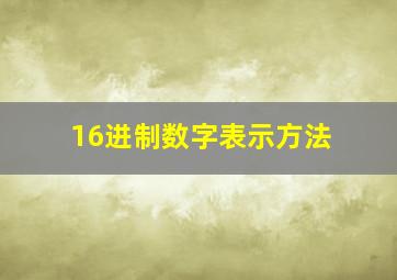 16进制数字表示方法