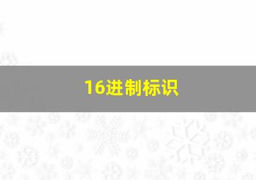 16进制标识