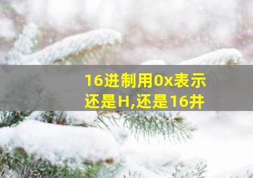 16进制用0x表示还是H,还是16井