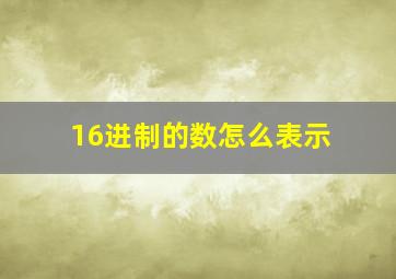 16进制的数怎么表示