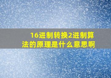 16进制转换2进制算法的原理是什么意思啊