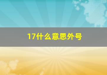 17什么意思外号