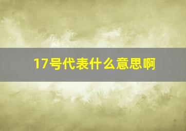 17号代表什么意思啊