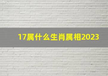 17属什么生肖属相2023