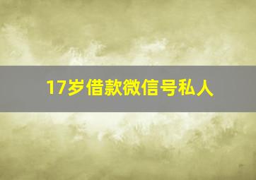 17岁借款微信号私人