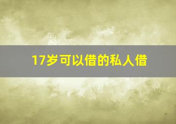 17岁可以借的私人借