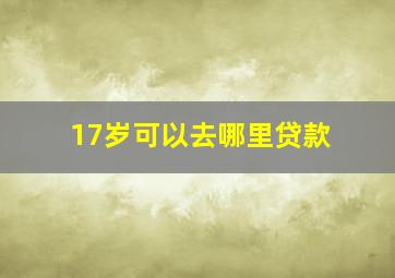 17岁可以去哪里贷款