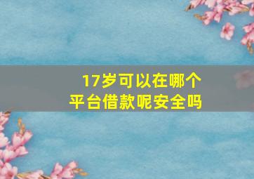 17岁可以在哪个平台借款呢安全吗