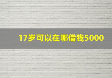 17岁可以在哪借钱5000