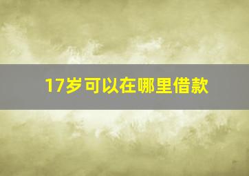 17岁可以在哪里借款