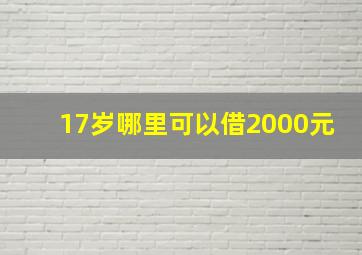 17岁哪里可以借2000元