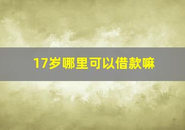 17岁哪里可以借款嘛