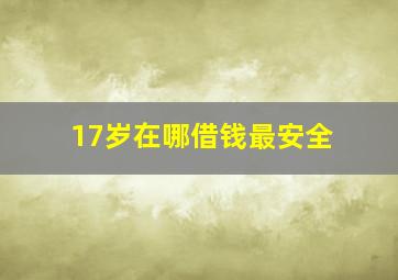 17岁在哪借钱最安全