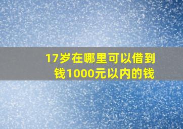 17岁在哪里可以借到钱1000元以内的钱