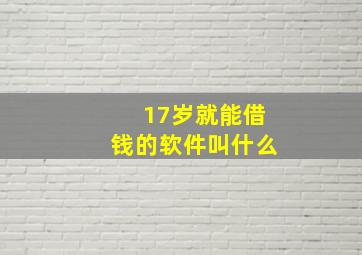 17岁就能借钱的软件叫什么