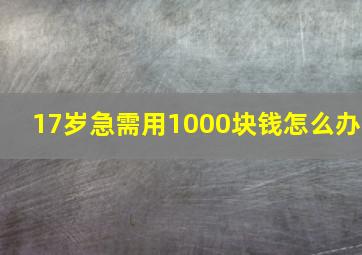 17岁急需用1000块钱怎么办