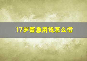 17岁着急用钱怎么借