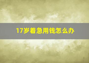 17岁着急用钱怎么办