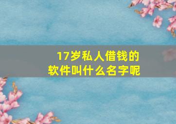 17岁私人借钱的软件叫什么名字呢