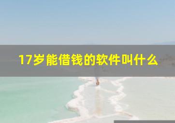 17岁能借钱的软件叫什么